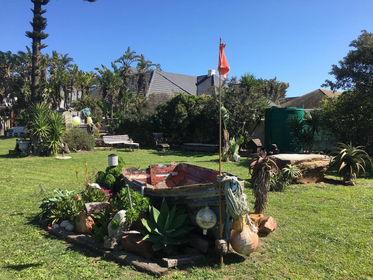 Amor Da Vida Port Elizabeth Dış mekan fotoğraf