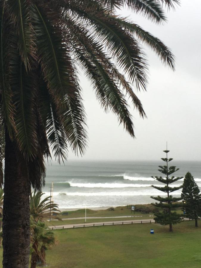 Amor Da Vida Port Elizabeth Dış mekan fotoğraf