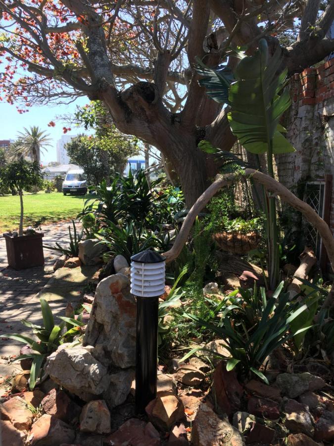 Amor Da Vida Port Elizabeth Dış mekan fotoğraf