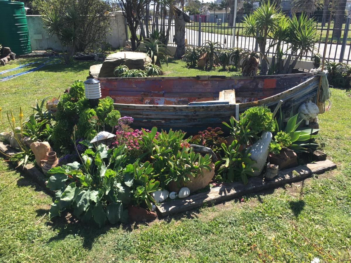 Amor Da Vida Port Elizabeth Dış mekan fotoğraf
